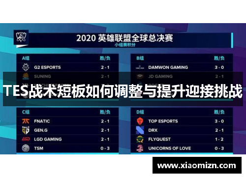 TES战术短板如何调整与提升迎接挑战