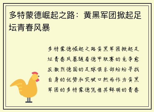 多特蒙德崛起之路：黄黑军团掀起足坛青春风暴