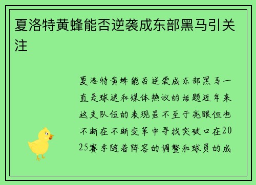 夏洛特黄蜂能否逆袭成东部黑马引关注 夏洛特黄蜂能否逆袭成东部黑马引关注